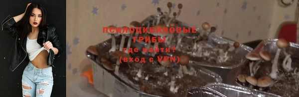 мдма Каменка