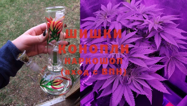 прущие крисы Каменногорск