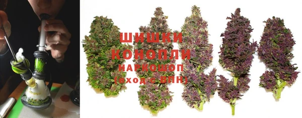 прущие крисы Каменногорск
