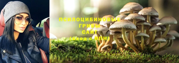 apvp Каменск-Шахтинский